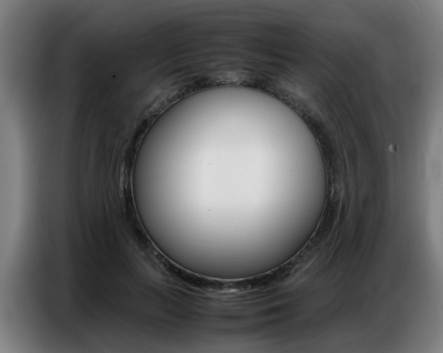 X0000087320647200704200740