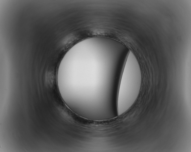 X0000087320648200704200740