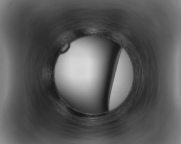 X0000087320653200704200740