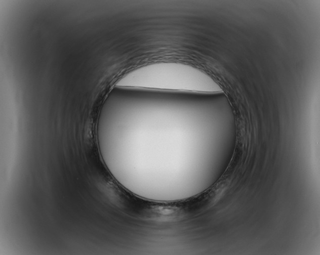 X0000087320654200704200740