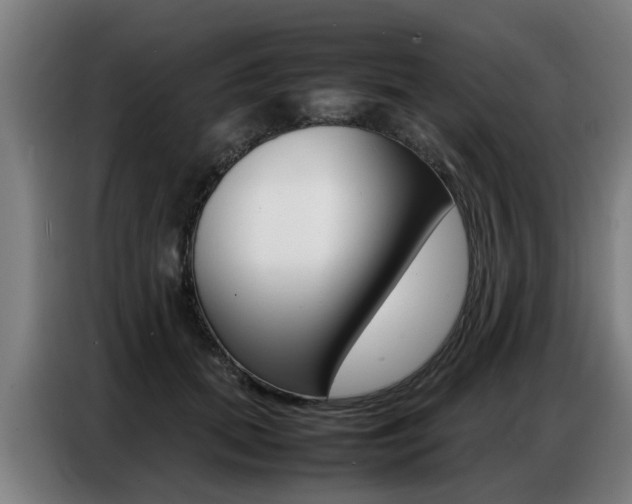 X0000087320655200704200740
