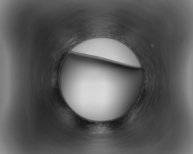X0000087320656200704200740