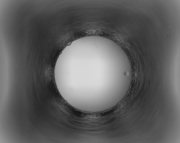 X0000087320659200704200740