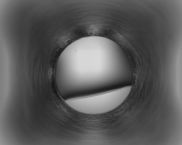 X0000087320660200704200740