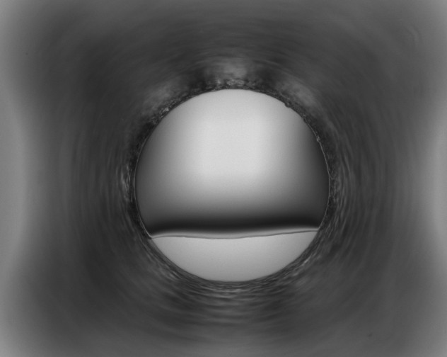 X0000087320661200704200740