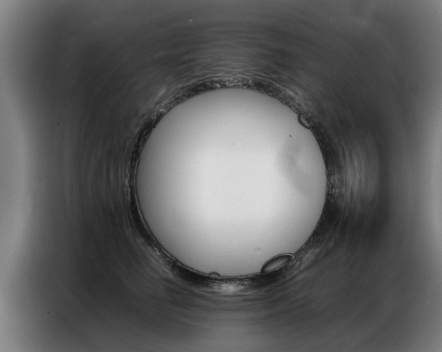 X0000087320662200704200740