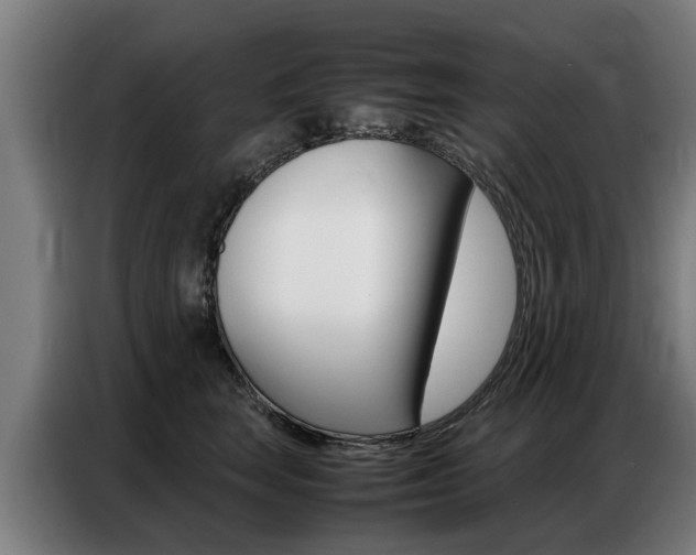 X0000087320663200704200740