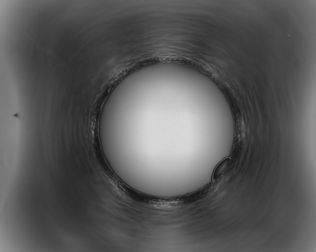 X0000087320664200704200740