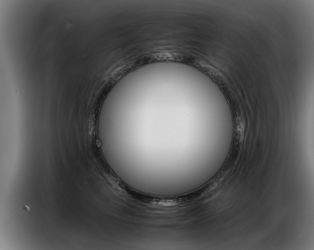 X0000087320665200704200740
