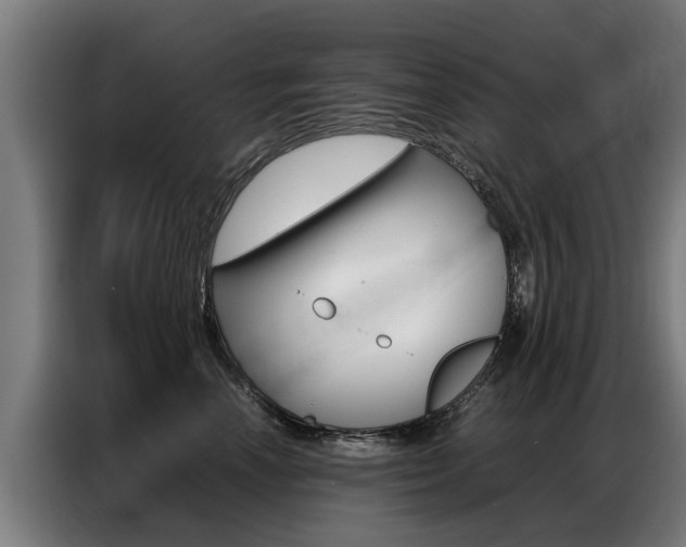 X0000087320666200704200740