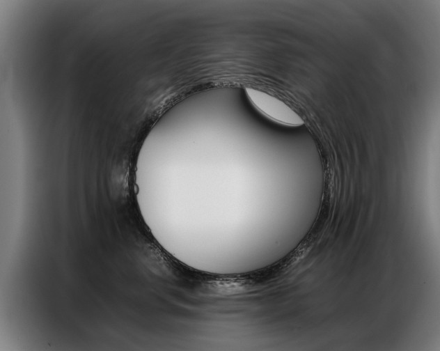 X0000087320668200704200740
