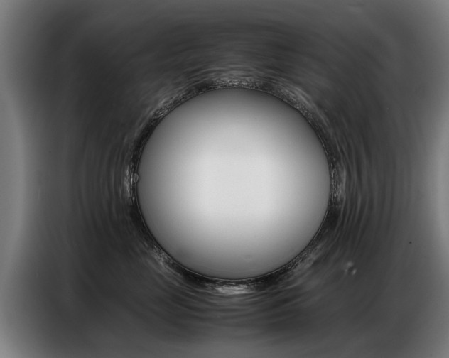 X0000087320669200704200740