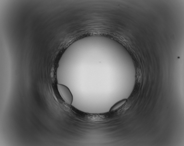 X0000087320670200704200740
