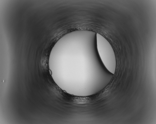 X0000087320671200704200740