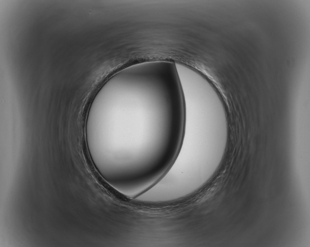 X0000087320673200704200740