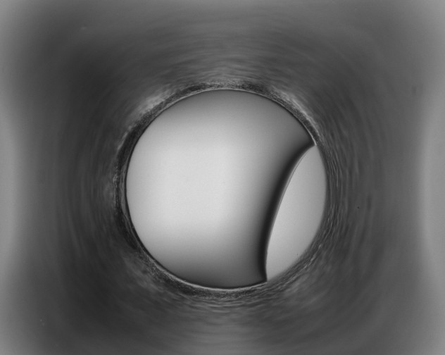 X0000087320675200704200740