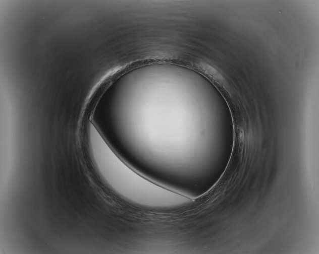 X0000087320676200704200740