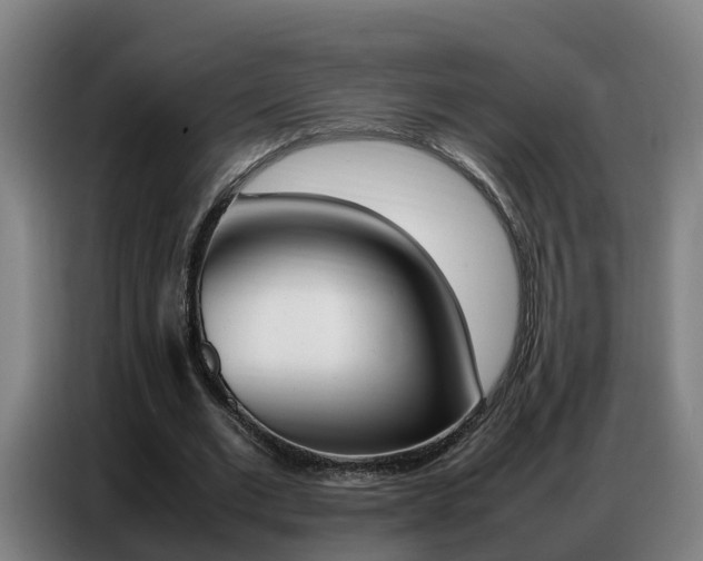 X0000087320677200704200740