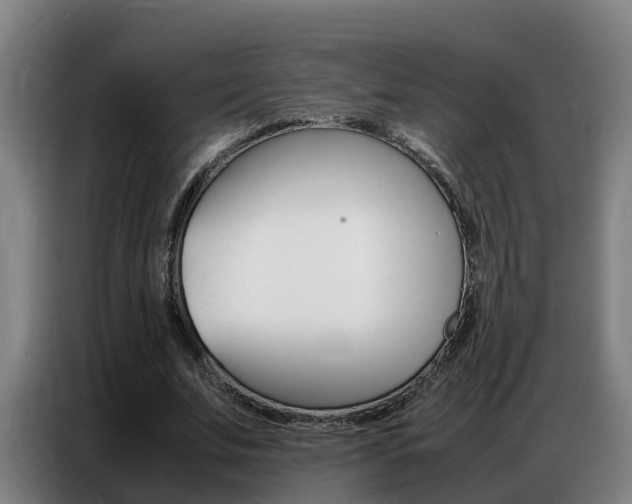 X0000087320679200704200740