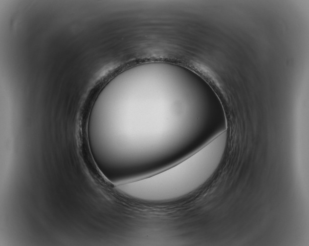 X0000087320680200704200740