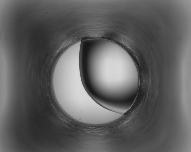 X0000087320681200704200740