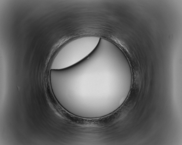 X0000087320682200704200739