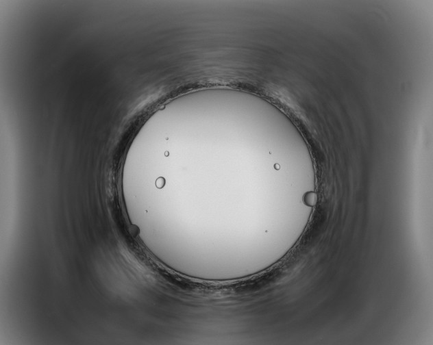 X0000087320683200704200739