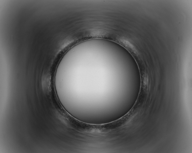 X0000087320684200704200739