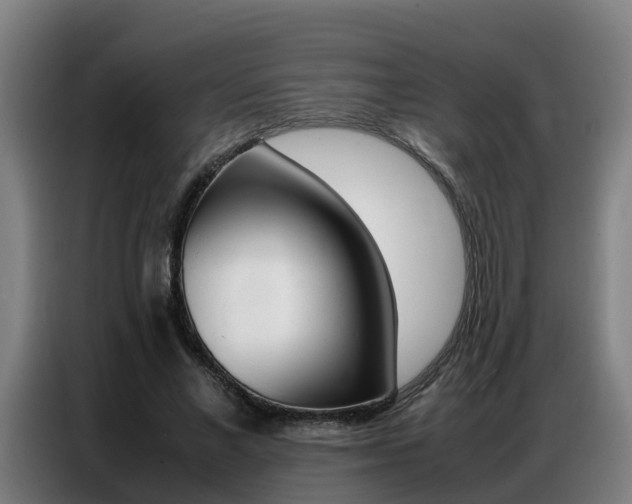 X0000087320685200704200739