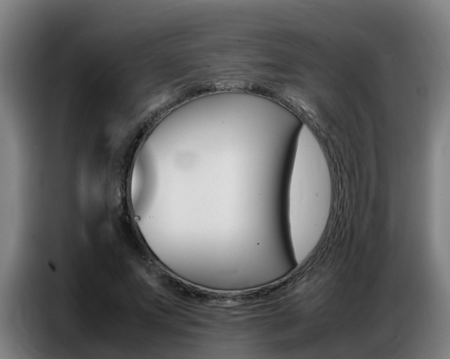 X0000087320687200704200739