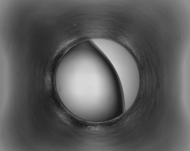 X0000087320688200704200739