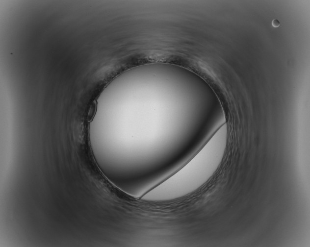 X0000087320689200704200739
