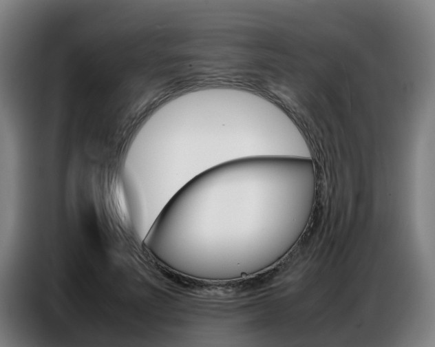 X0000087320691200704200739
