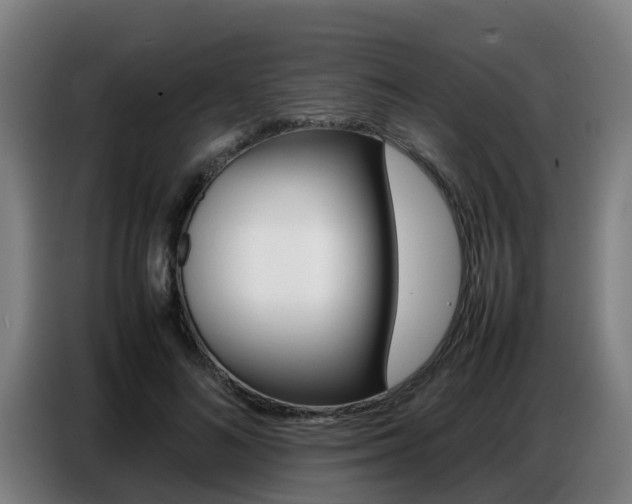 X0000087320692200704200739