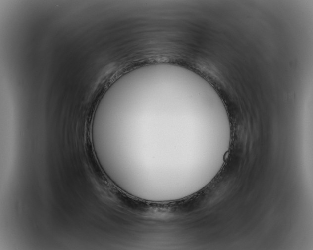 X0000087320694200704200739