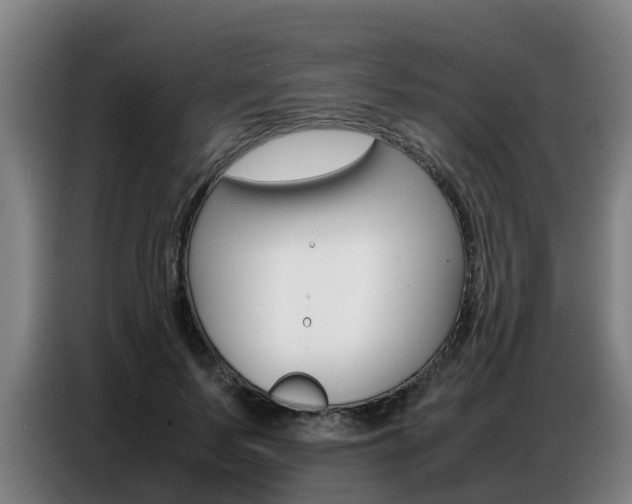 X0000087320695200704200739