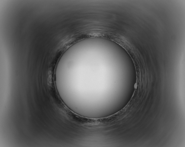 X0000087320696200704200739
