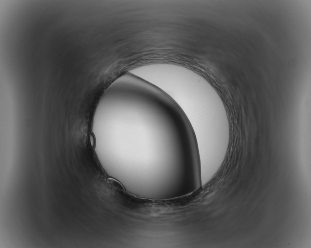 X0000087320697200704200739