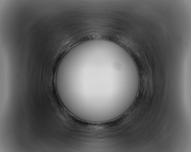 X0000087320698200704200739