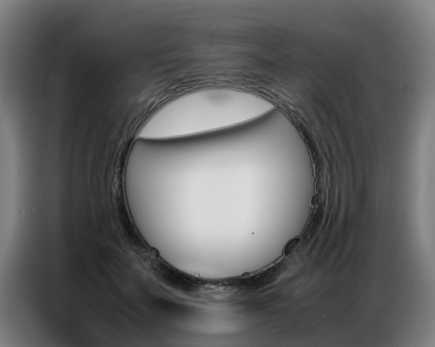 X0000087320699200704200739