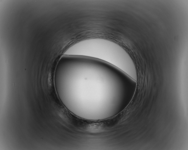 X0000087320700200704200739