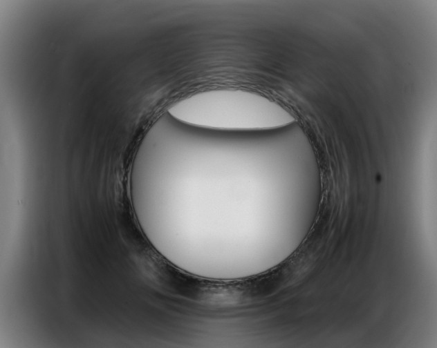 X0000087320702200704200739