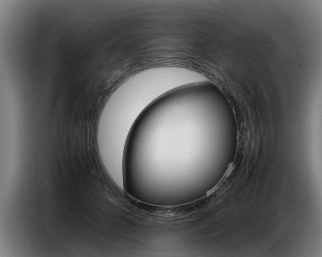 X0000087320704200704200739