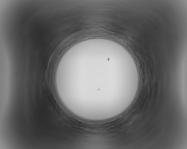 X0000087320705200704200739