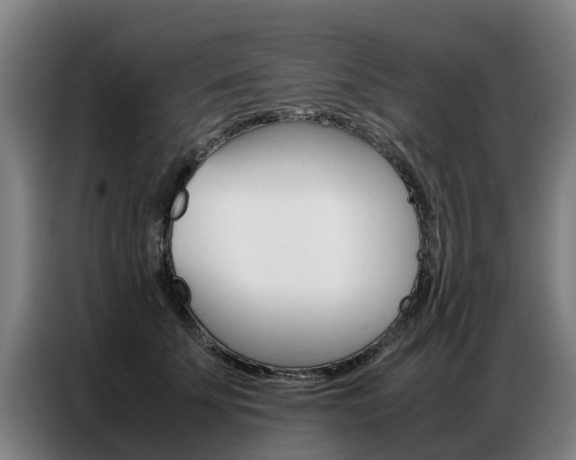 X0000087320707200704200739