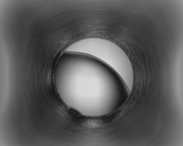 X0000087320708200704200739