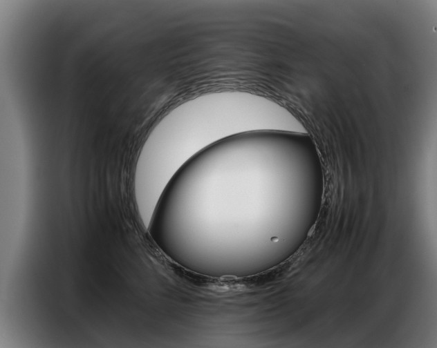 X0000087320712200704200739