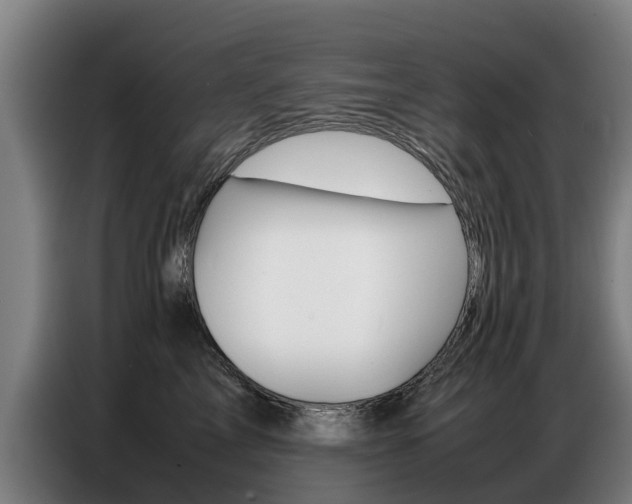 X0000087320713200704200739