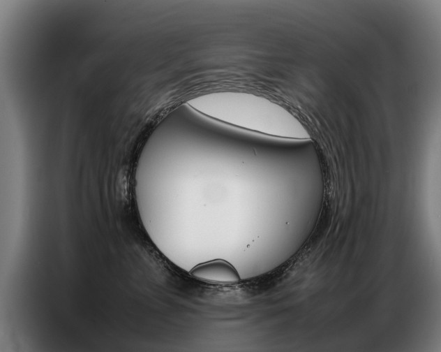 X0000087320715200704200739