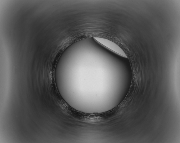 X0000087320716200704200739